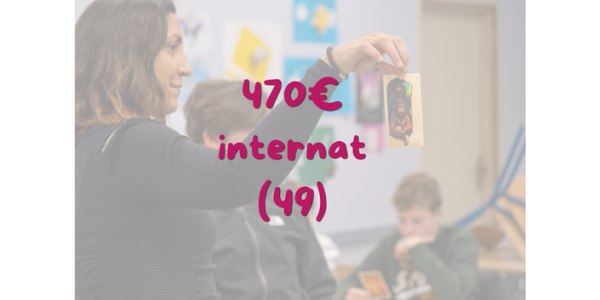 Approfondissement Enigmes, enquêtes et escape game - Mûrs-Érigné (49)
