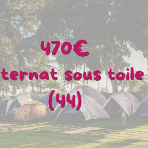 Approfondissement Mini-camps et environnement - Préfailles (44)