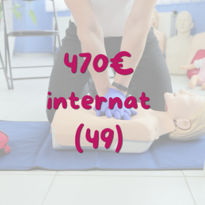 Approfondissement PSC Assistant.e sanitaire - Mûrs-Érigné (49)
